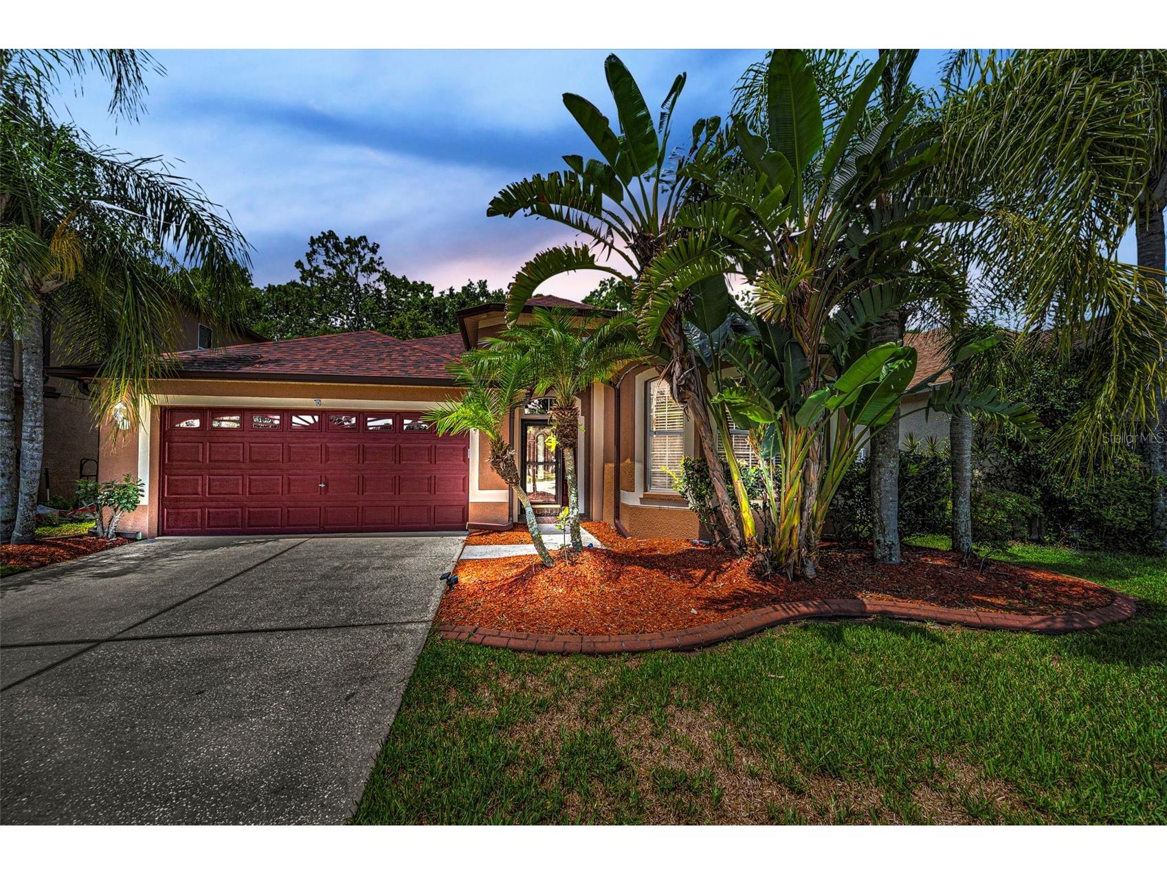 15762 Cedar Elm Terrace Land O Lakes FL 34638 TB8398219 image49