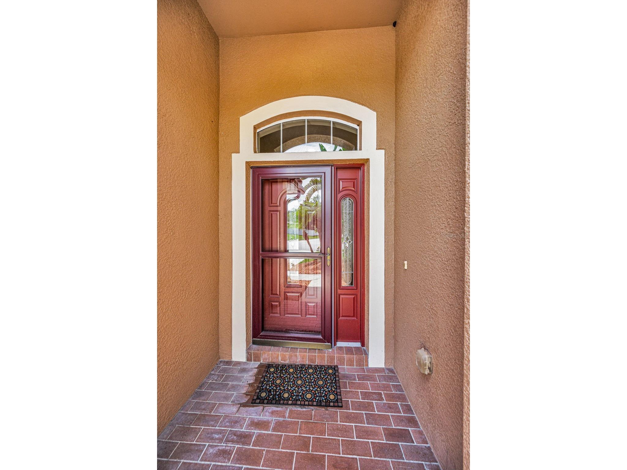 15762 Cedar Elm Terrace Land O Lakes FL 34638 TB8398219 image5