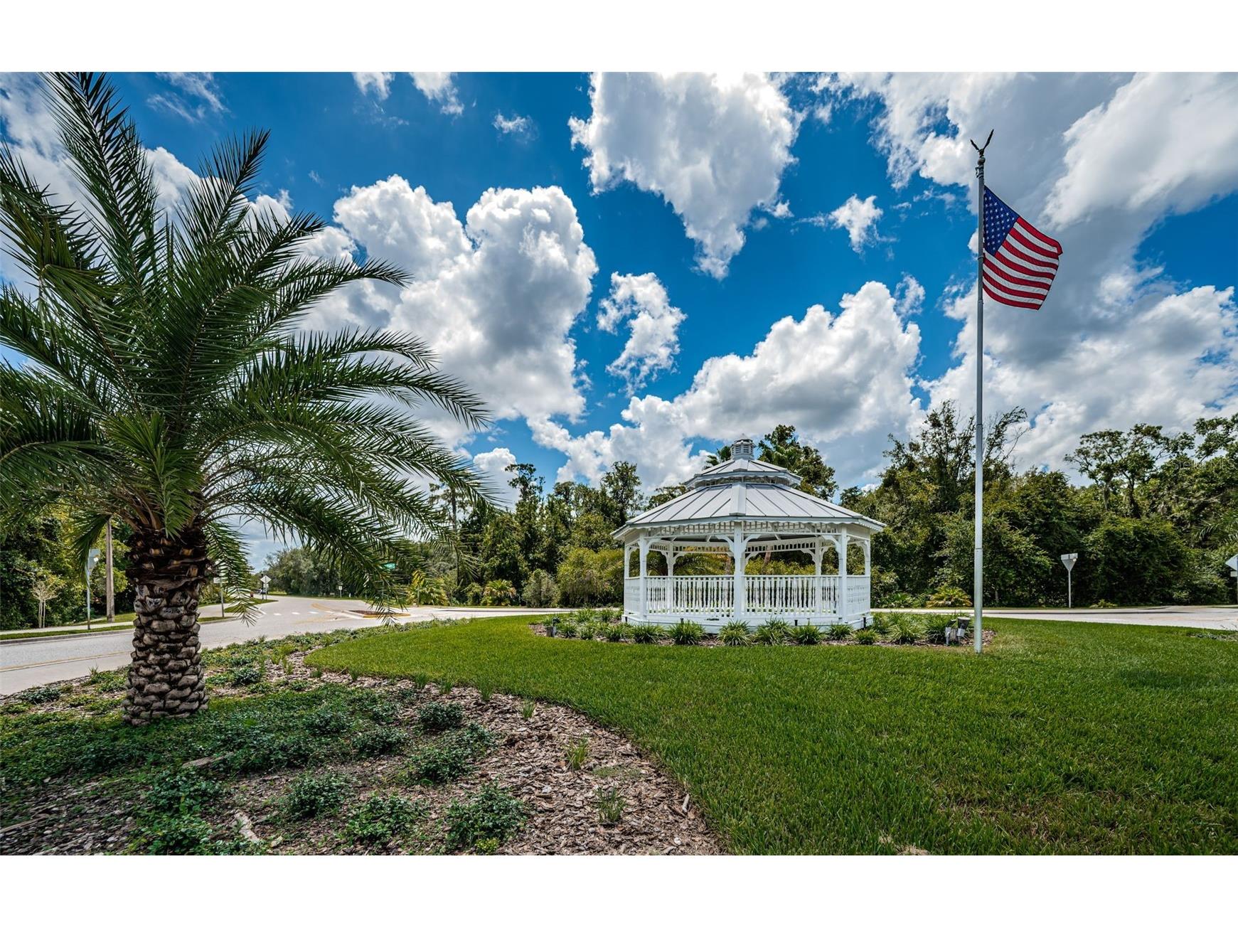 15762 Cedar Elm Terrace Land O Lakes FL 34638 TB8398219 image50