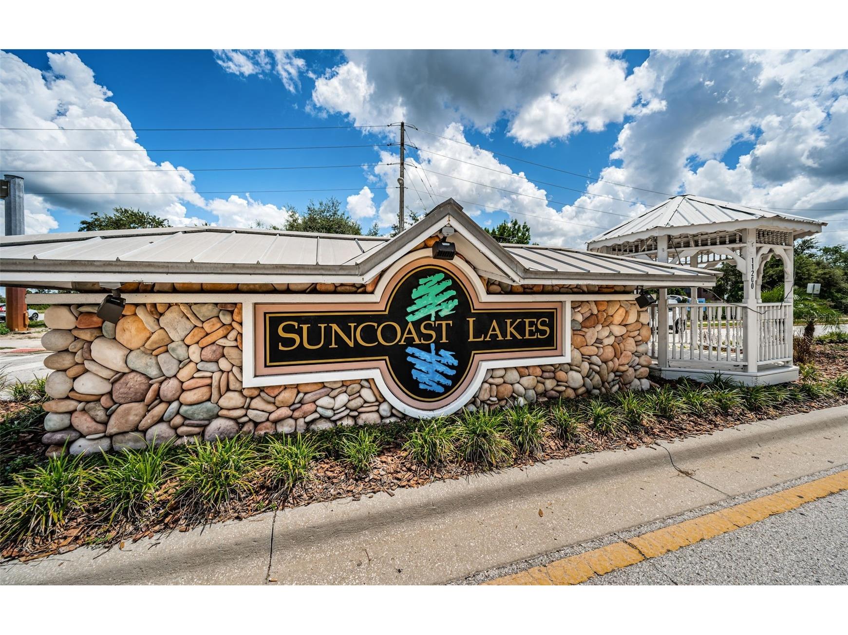 15762 Cedar Elm Terrace Land O Lakes FL 34638 TB8398219 image51