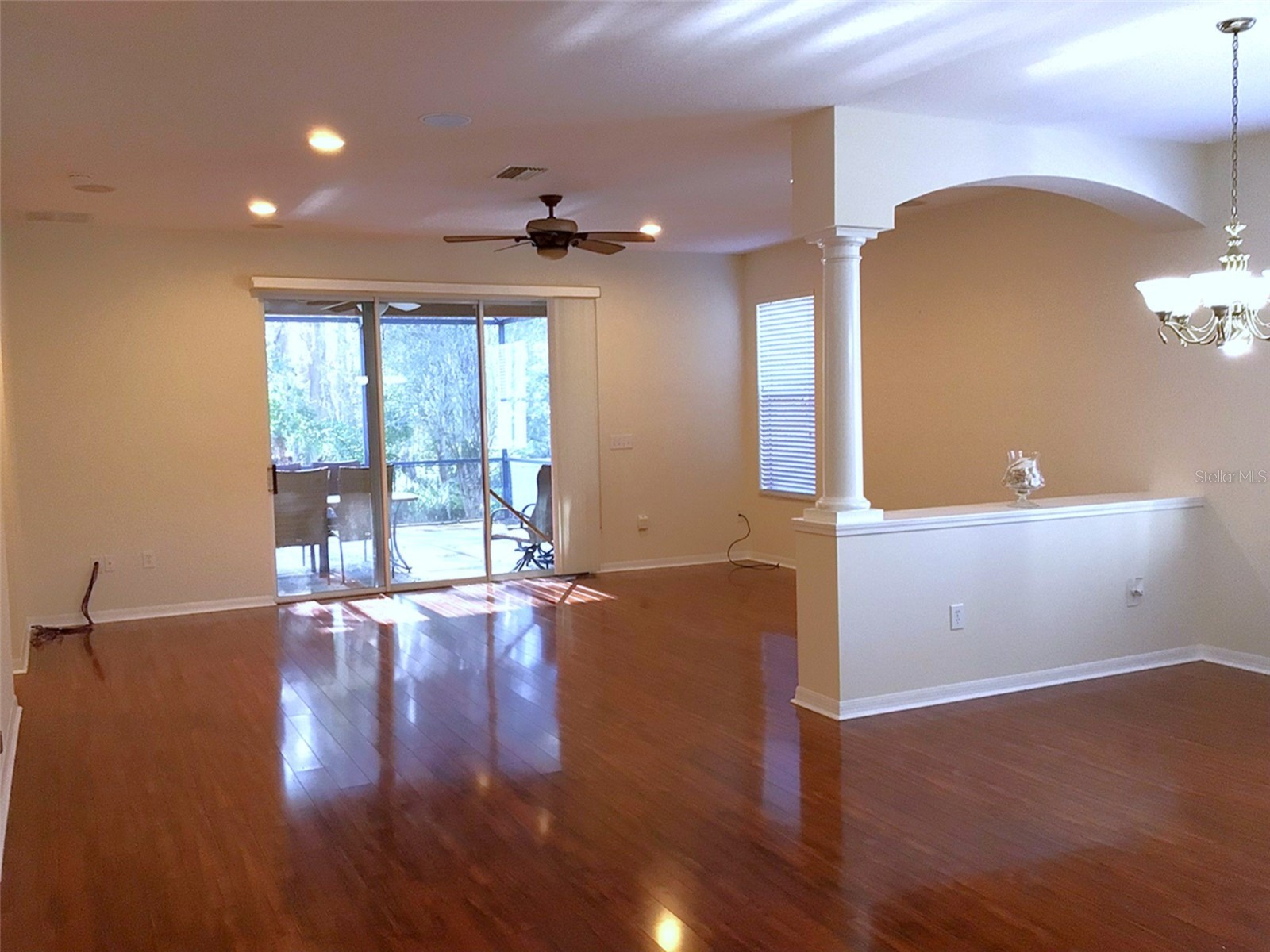 15762 Cedar Elm Terrace Land O Lakes FL 34638 TB8398219 image7