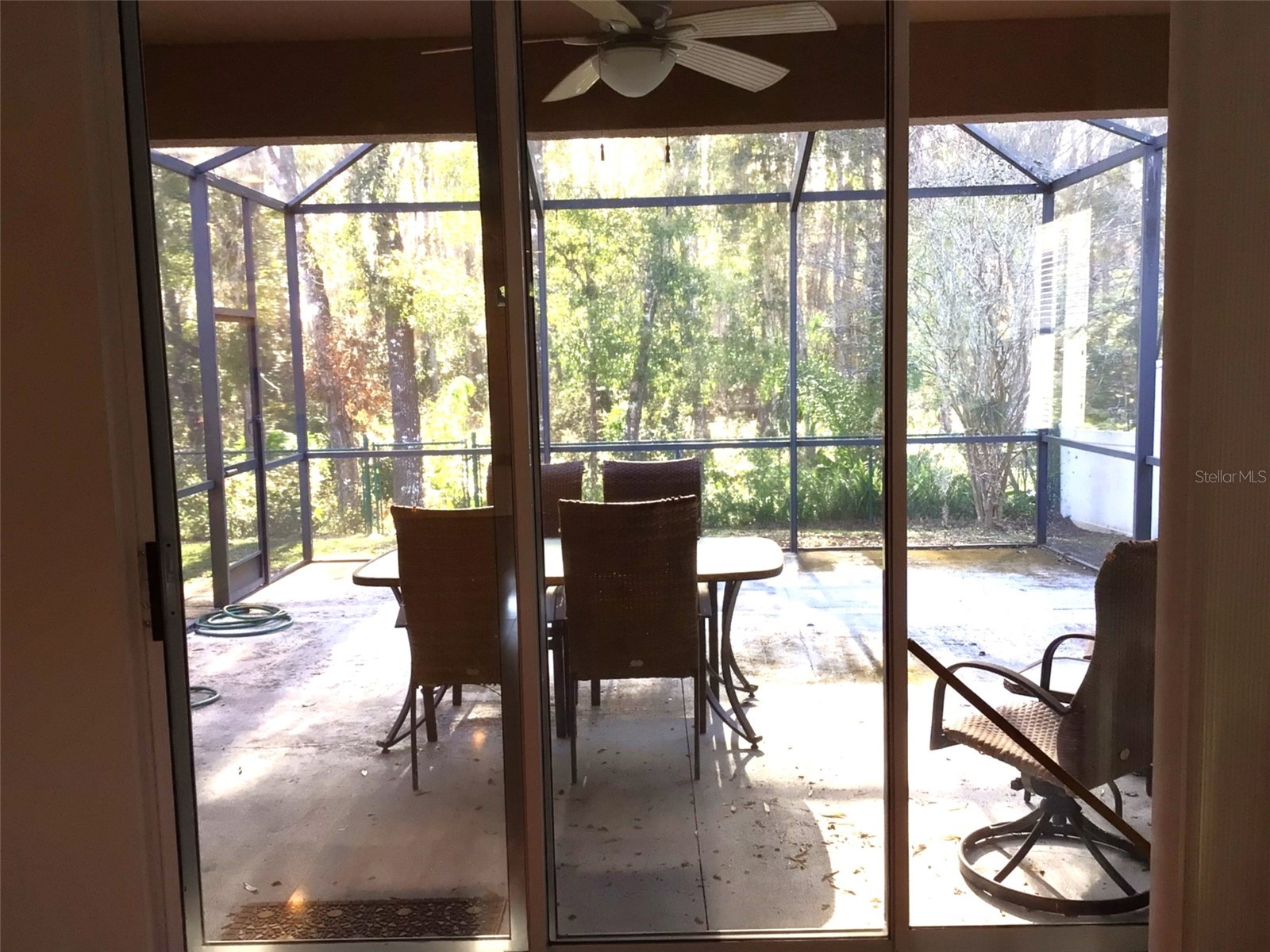 15762 Cedar Elm Terrace Land O Lakes FL 34638 TB8398219 image8