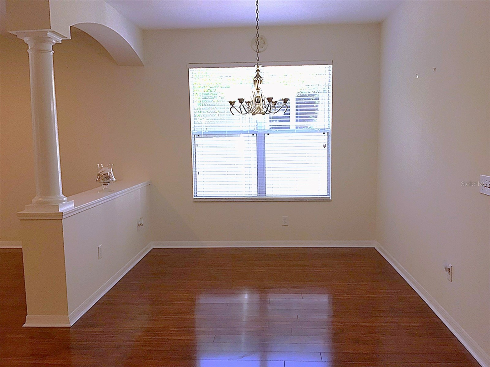 15762 Cedar Elm Terrace Land O Lakes FL 34638 TB8398219 image9