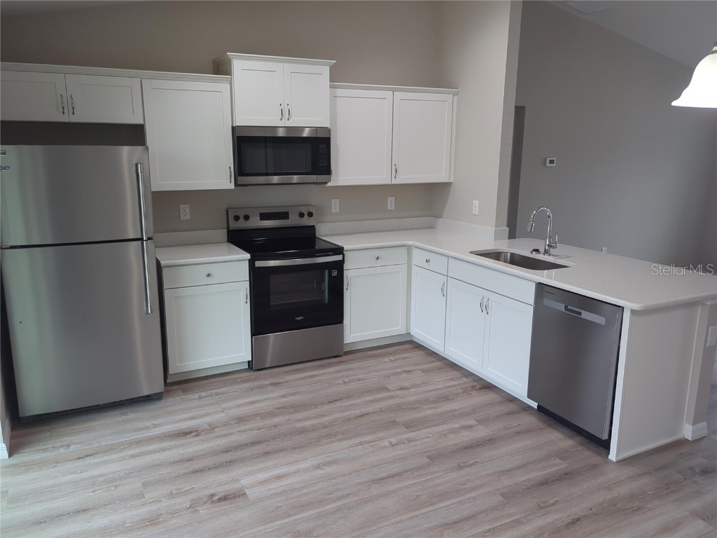 15763 SE 115th Place Road Ocklawaha FL 32179 OM704858 image2