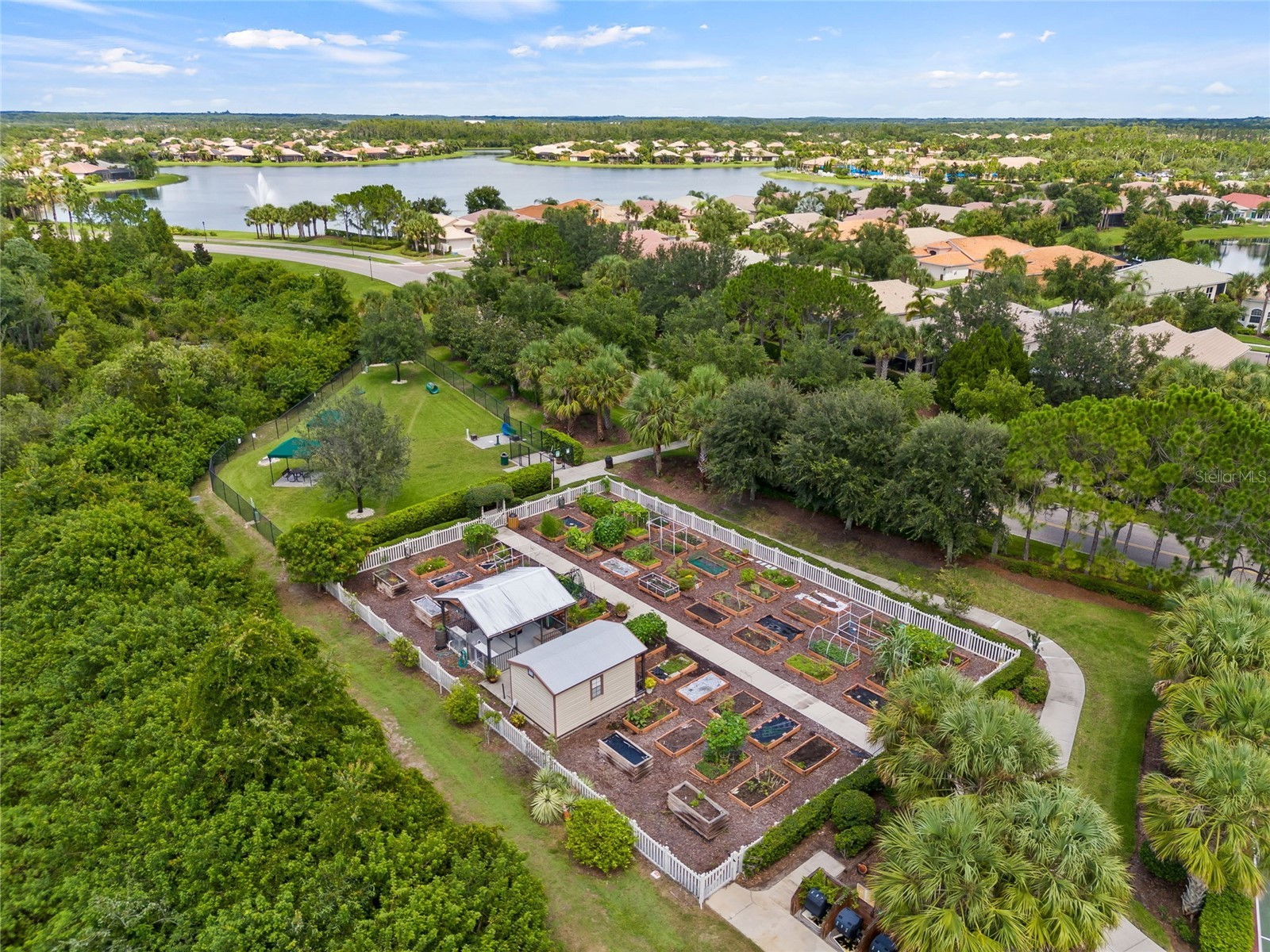 15767 Crystal Waters Drive Wimauma FL 33598 N6142108 image34