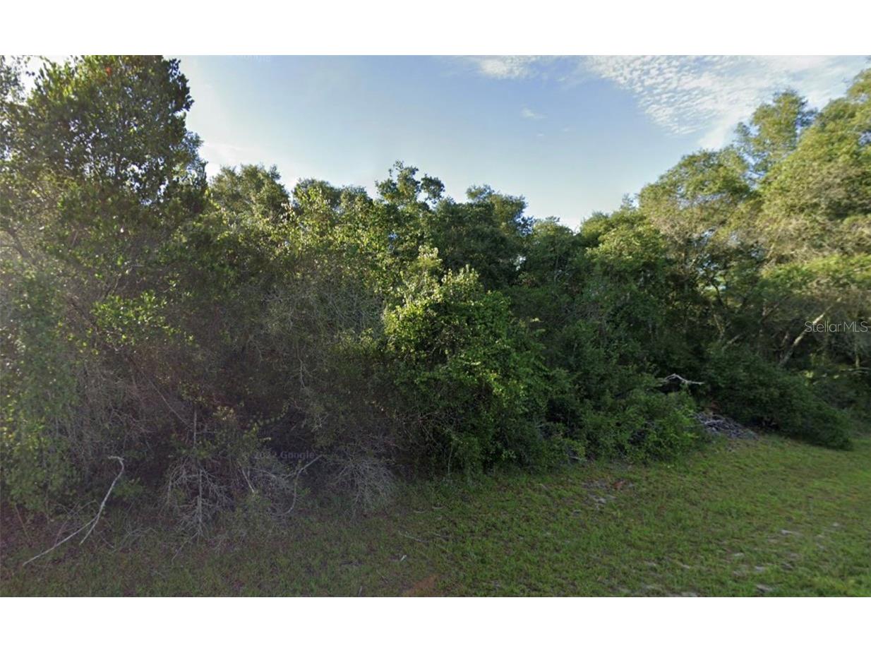 15767 SW 37th Avenue Ocala FL 34473 O6261112 image1