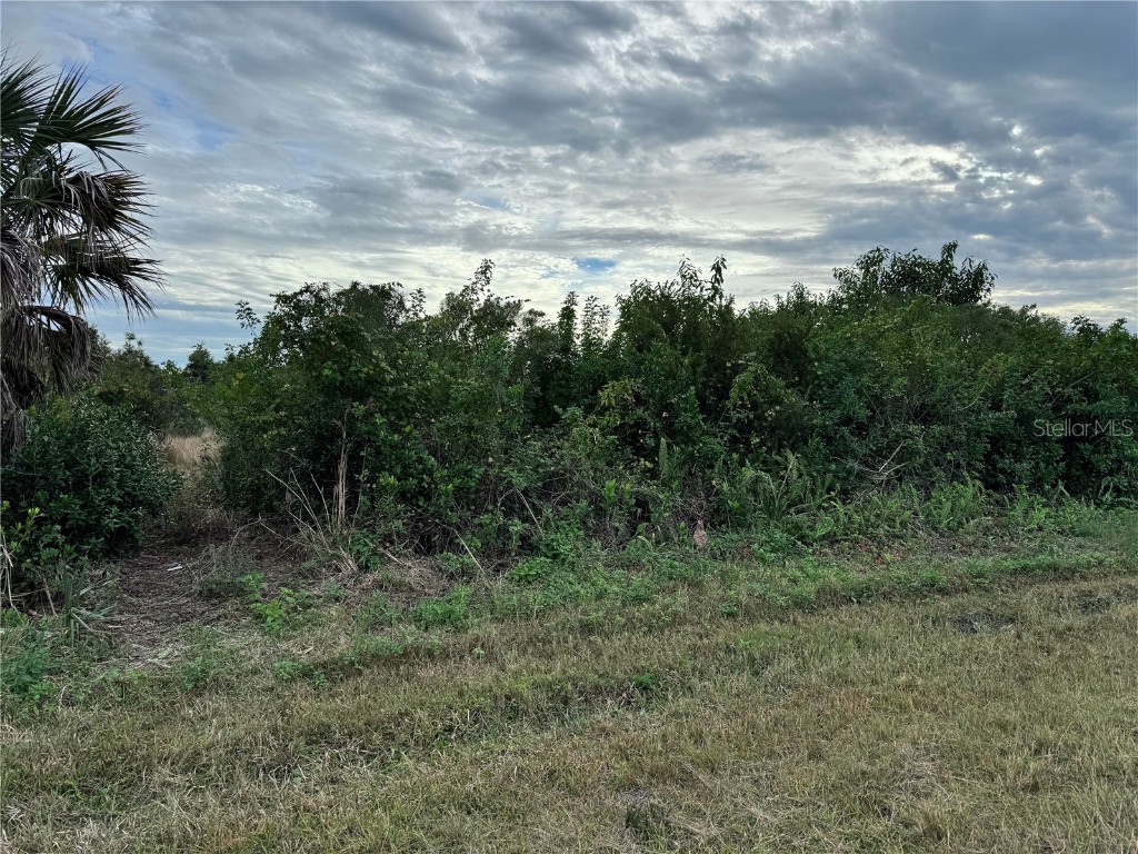15769 Hennipen Circle Port Charlotte FL 33981 D6145253 image5