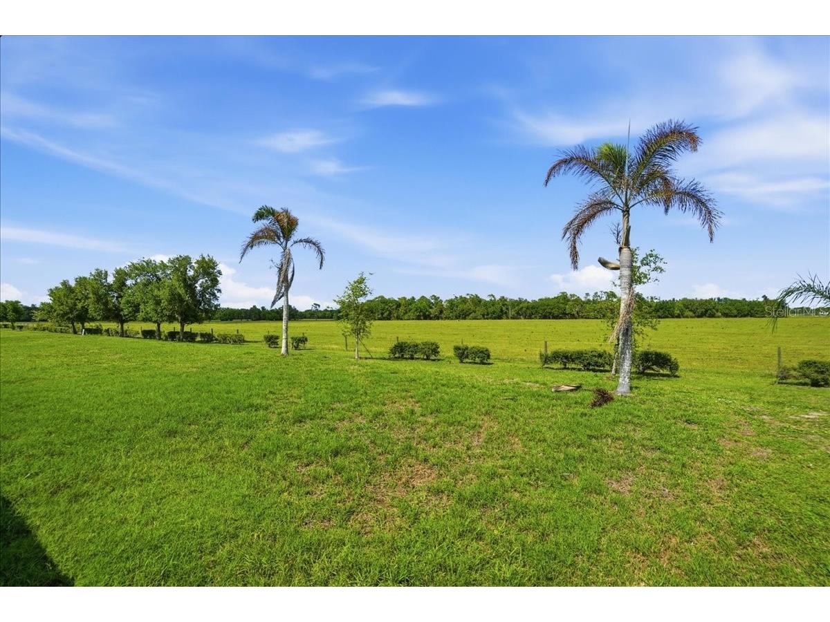 15769 High Bell Place Bradenton FL 34212 A4688696 image17