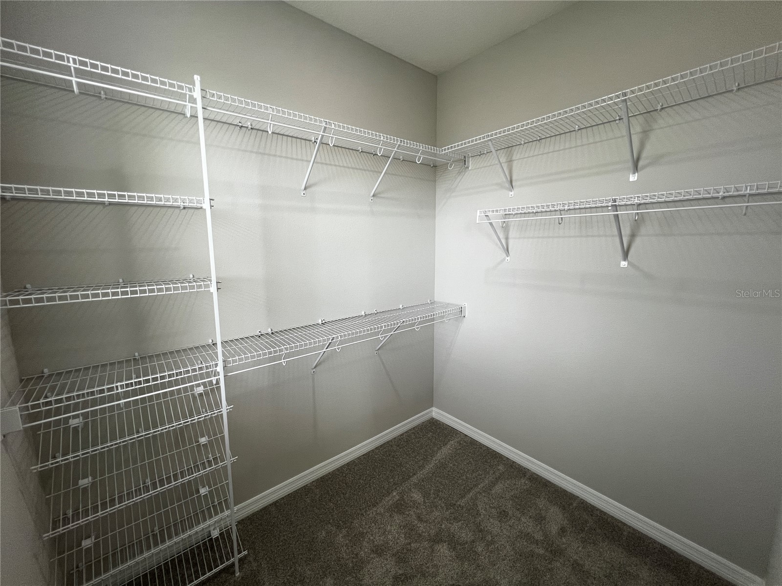 15769 Tollington Alley Winter Garden FL 34787 O6413030 image14