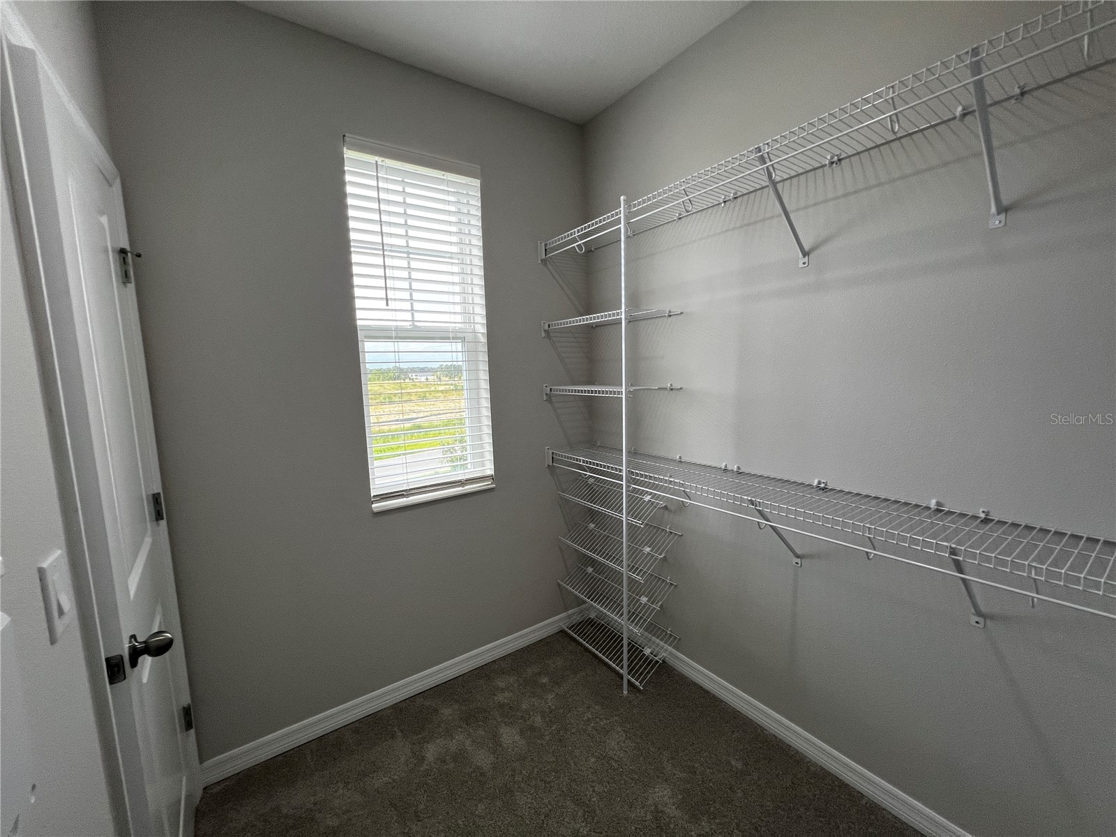 15769 Tollington Alley Winter Garden FL 34787 O6413030 image15