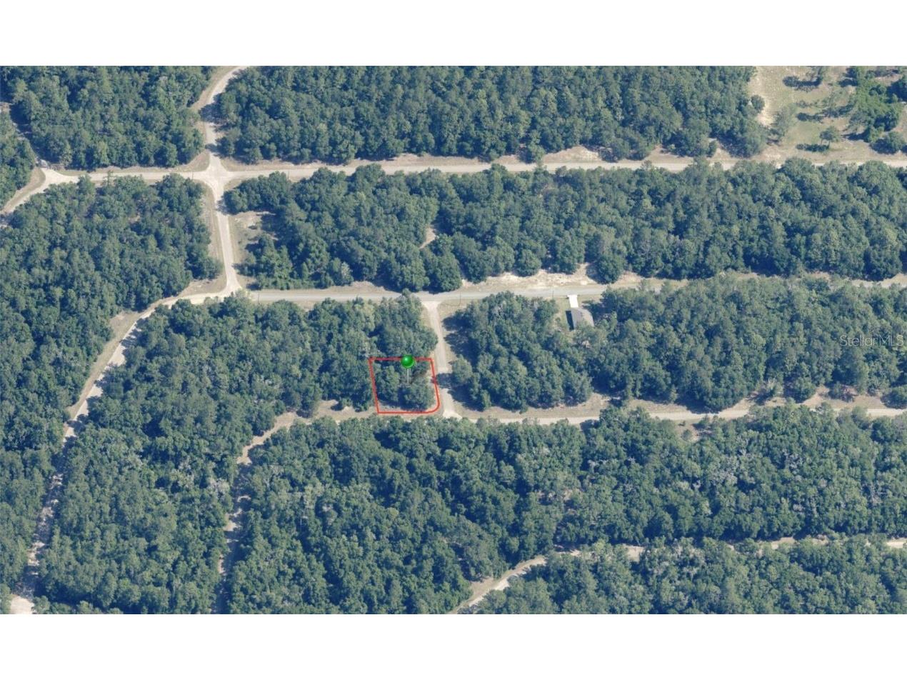 1577 E Ivydale Drive Citrus Springs FL 34434 OM709290 image1