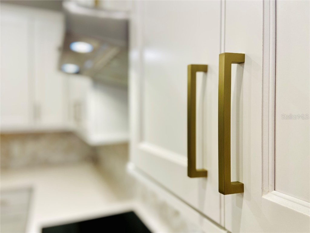 1577 Pinecliff Drive Apopka FL 32703 O6354682 image7