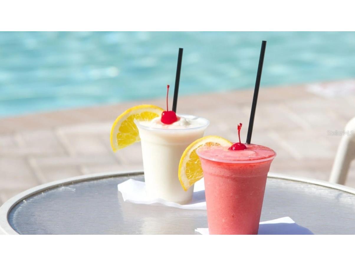 1577 Sandhill Court Palm Harbor FL 34684 A4675210 image18