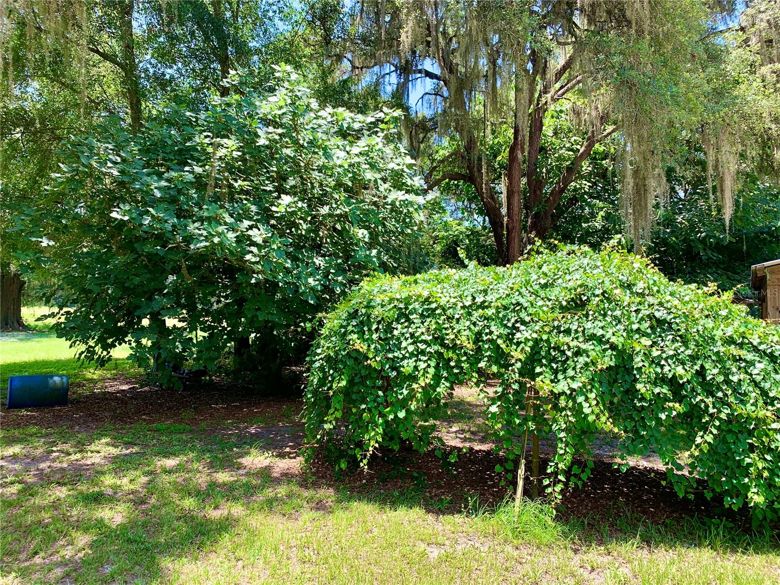 15770 NW 60th Avenue Chiefland FL 32626 GC541670 image35
