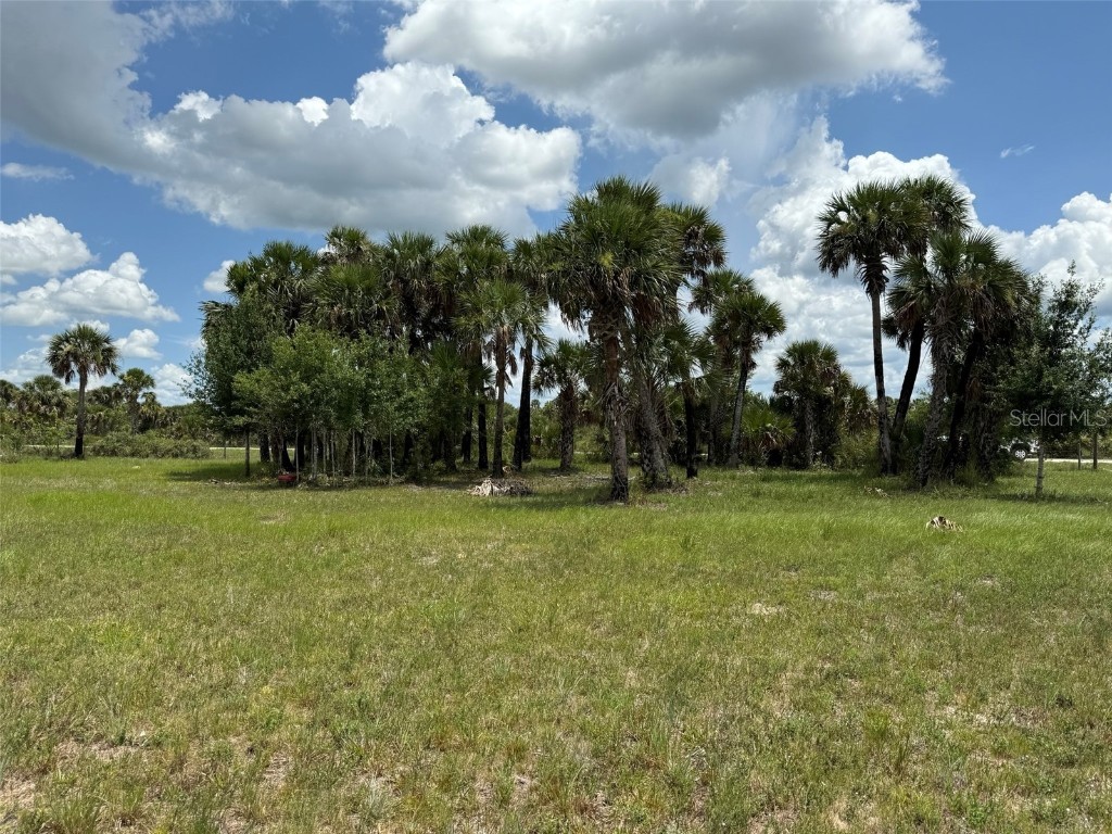 15775 NW 288th Street Okeechobee FL 34972 OK225313 image1