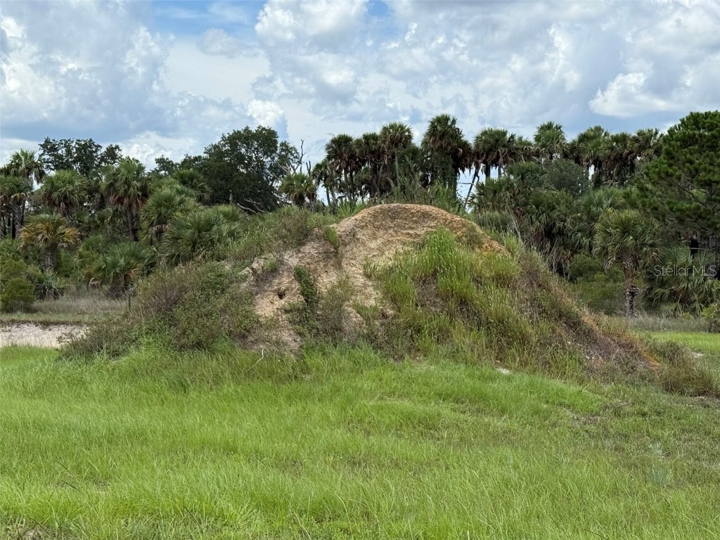 15775 NW 288th Street Okeechobee FL 34972 OK225313 image10