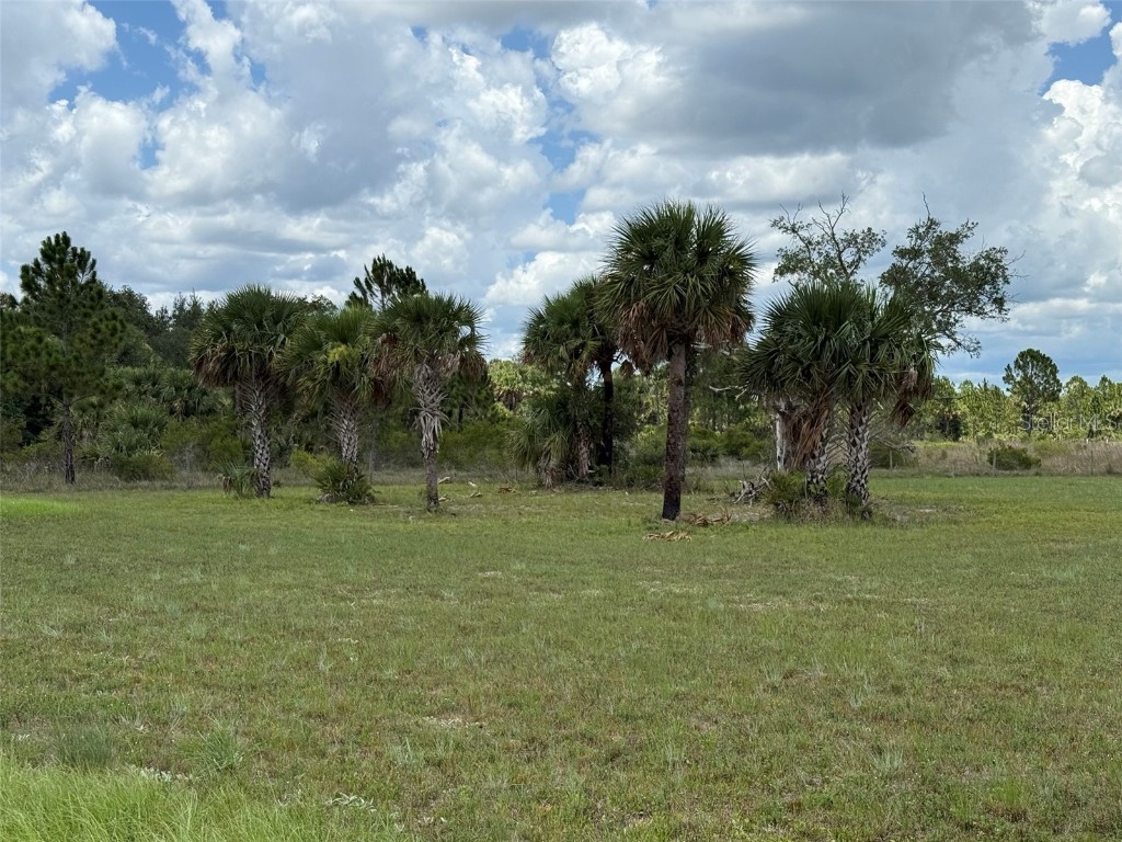 15775 NW 288th Street Okeechobee FL 34972 OK225313 image11