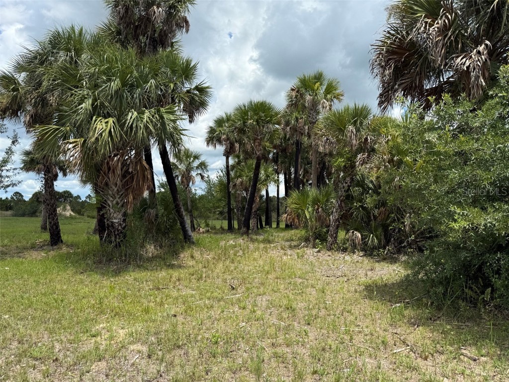 15775 NW 288th Street Okeechobee FL 34972 OK225313 image14