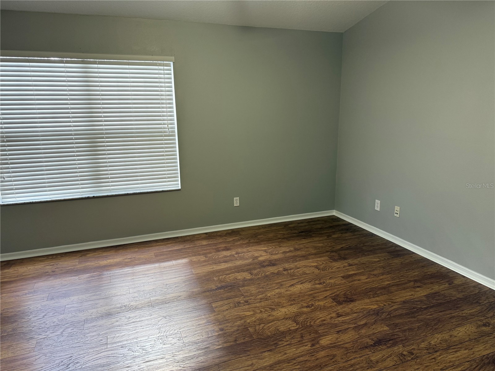 15776 Fishhawk Falls Drive Lithia FL 33547 TB8467112 image12