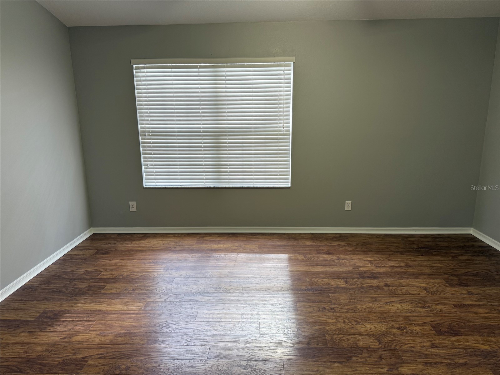 15776 Fishhawk Falls Drive Lithia FL 33547 TB8467112 image13