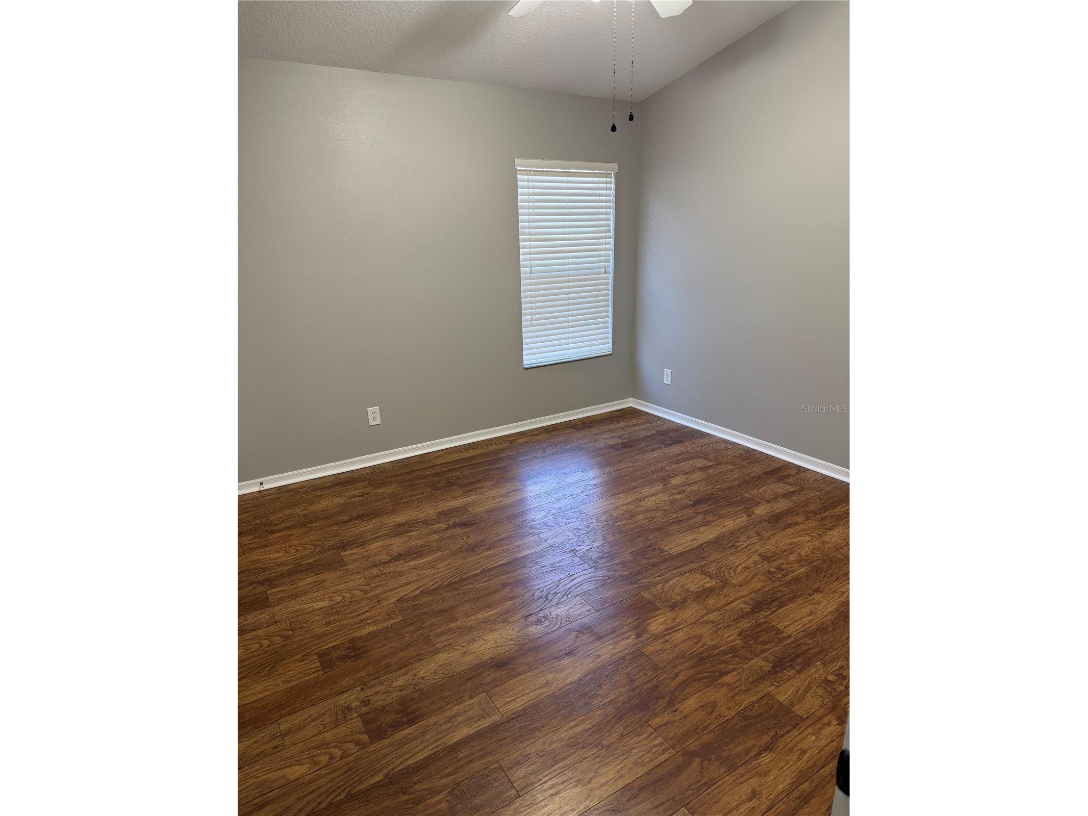 15776 Fishhawk Falls Drive Lithia FL 33547 TB8467112 image7