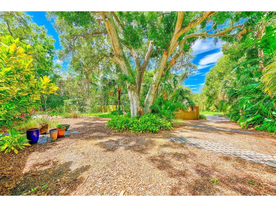 1578 Druid Road S Belleair FL 33756 TB8397269 image44