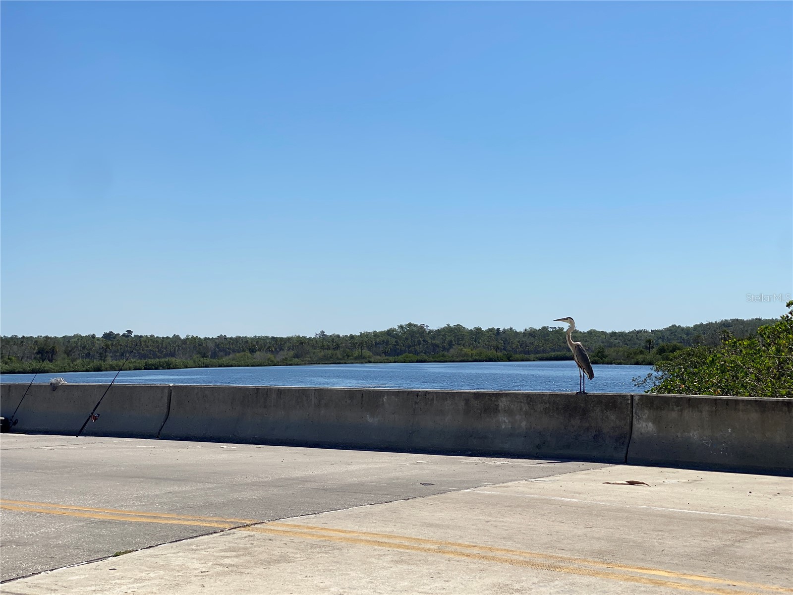 1578 Indian Bay Road Spring Hill FL 34607 TB8513638 image45
