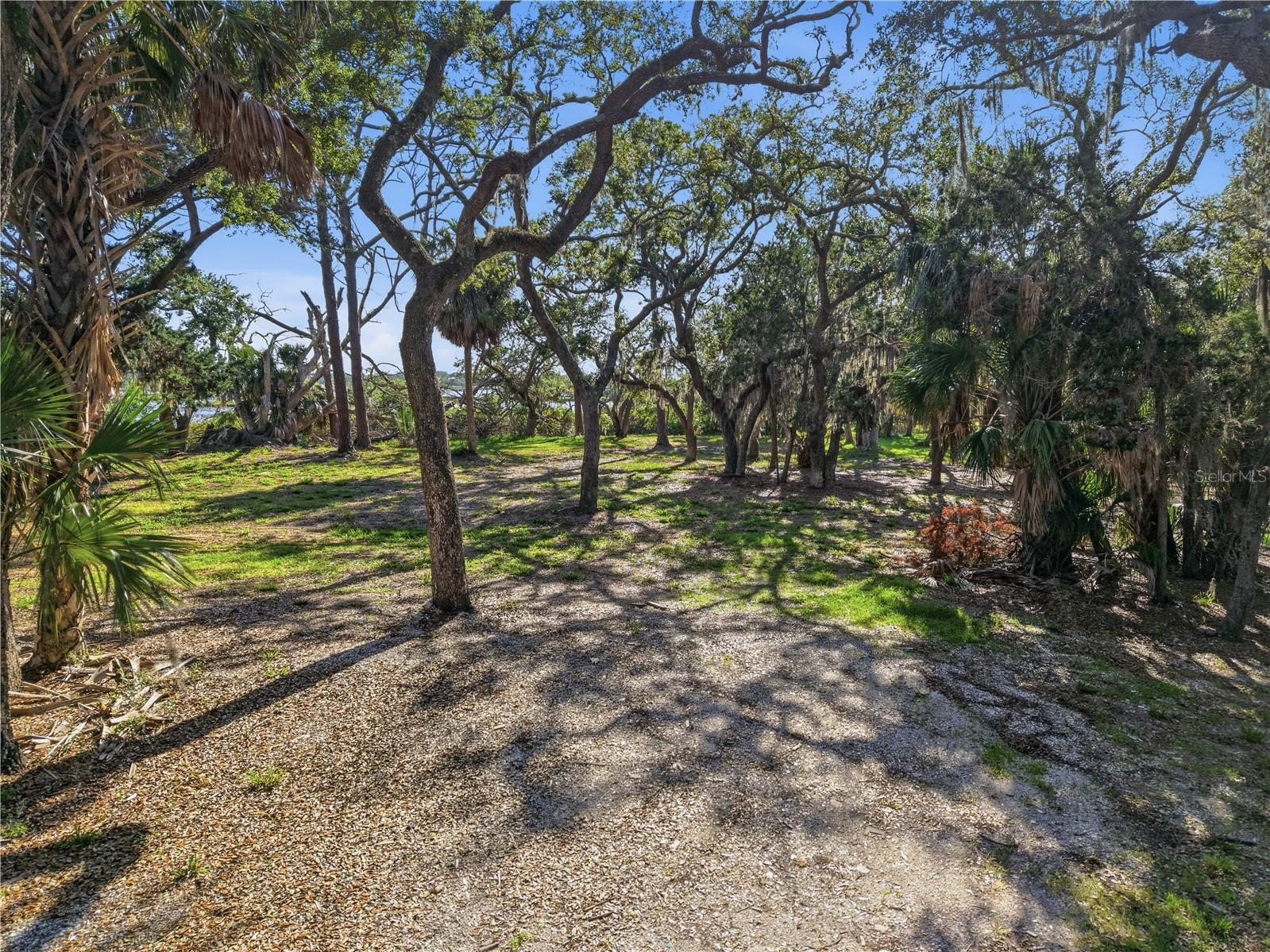 15780 Sunset Point Drive Cedar Key FL 32625 GC541257 image13