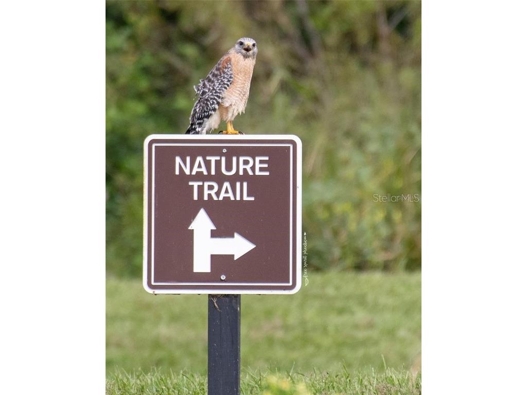 15783 Tangerine Dream Court Winter Garden FL 34787 - JOHNS LAKE O6360410 image76