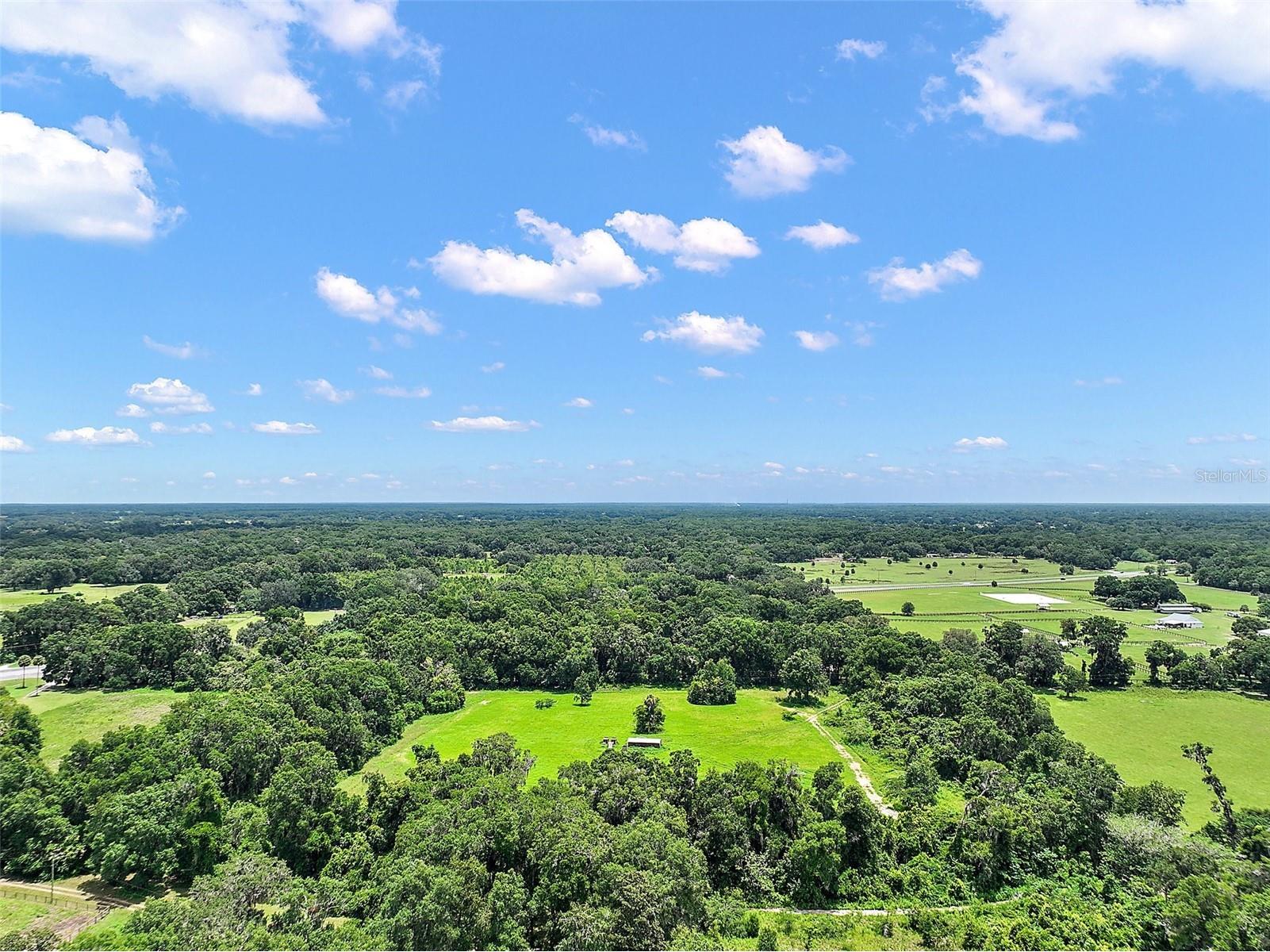 15785 NW 33rd Terrace Reddick FL 32686 OM704977 image10