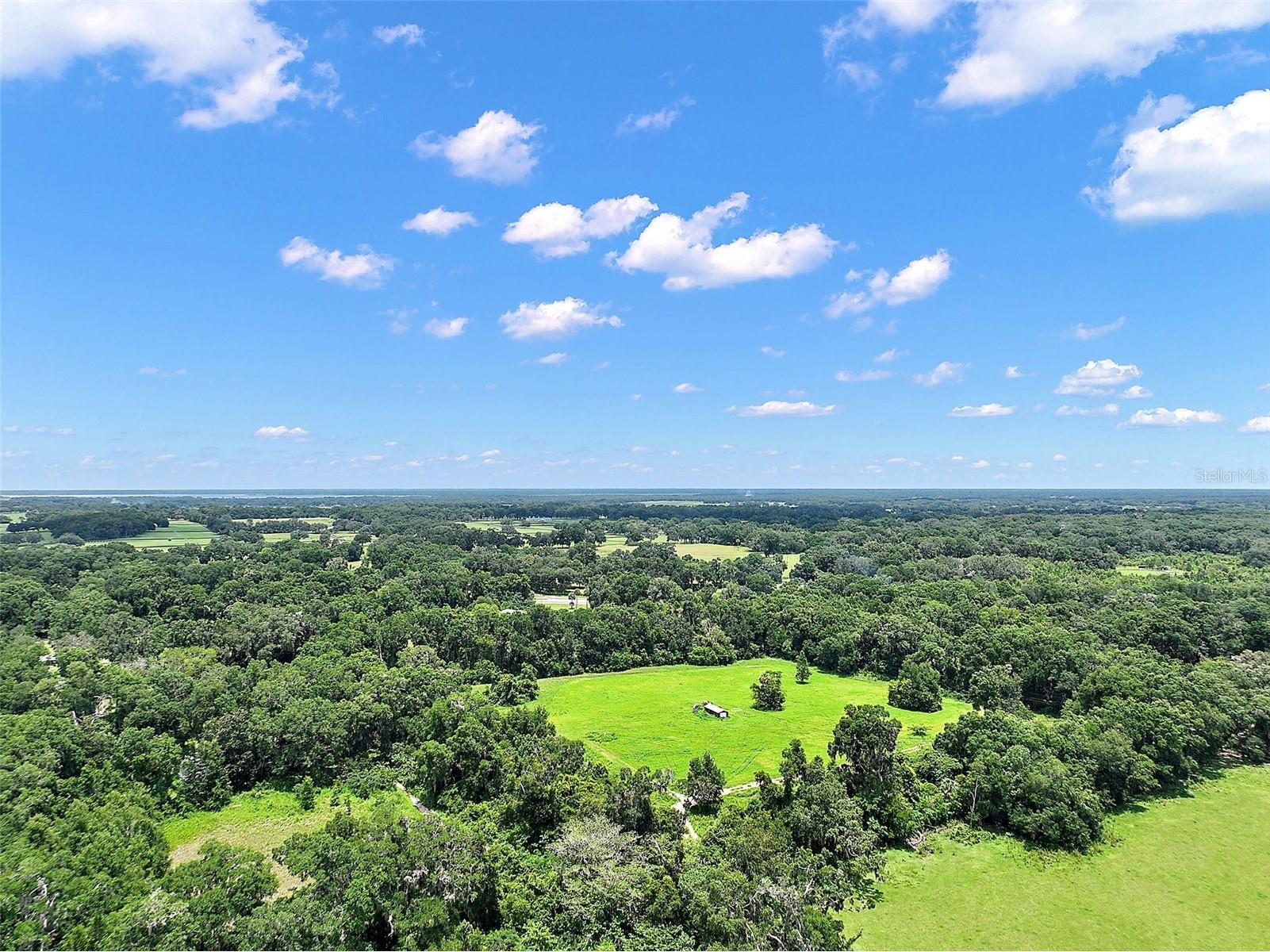 15785 NW 33rd Terrace Reddick FL 32686 OM704977 image11