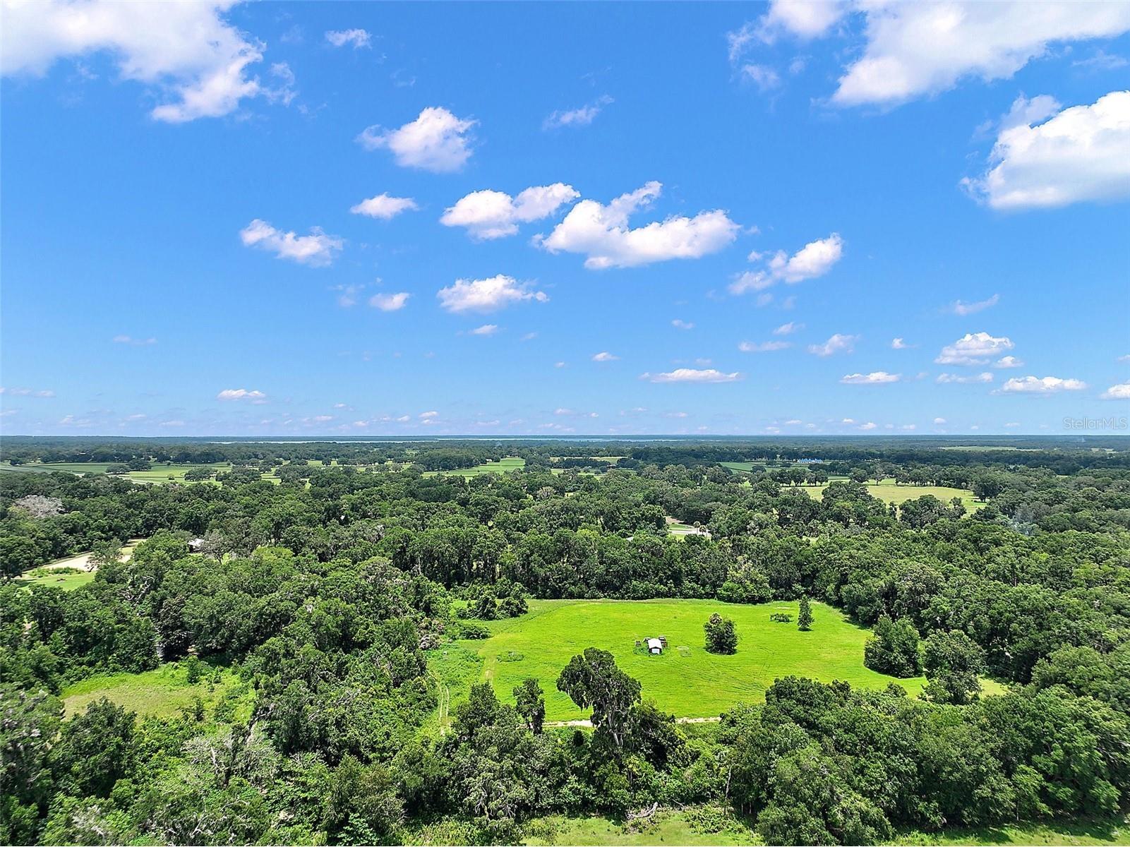 15785 NW 33rd Terrace Reddick FL 32686 OM704977 image4