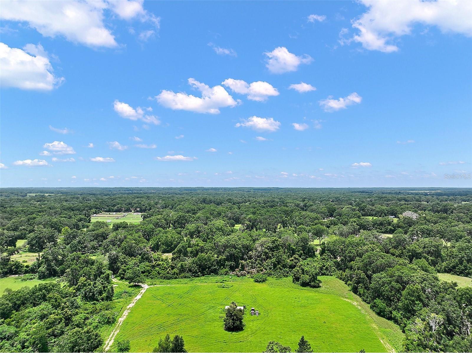 15785 NW 33rd Terrace Reddick FL 32686 OM704977 image6