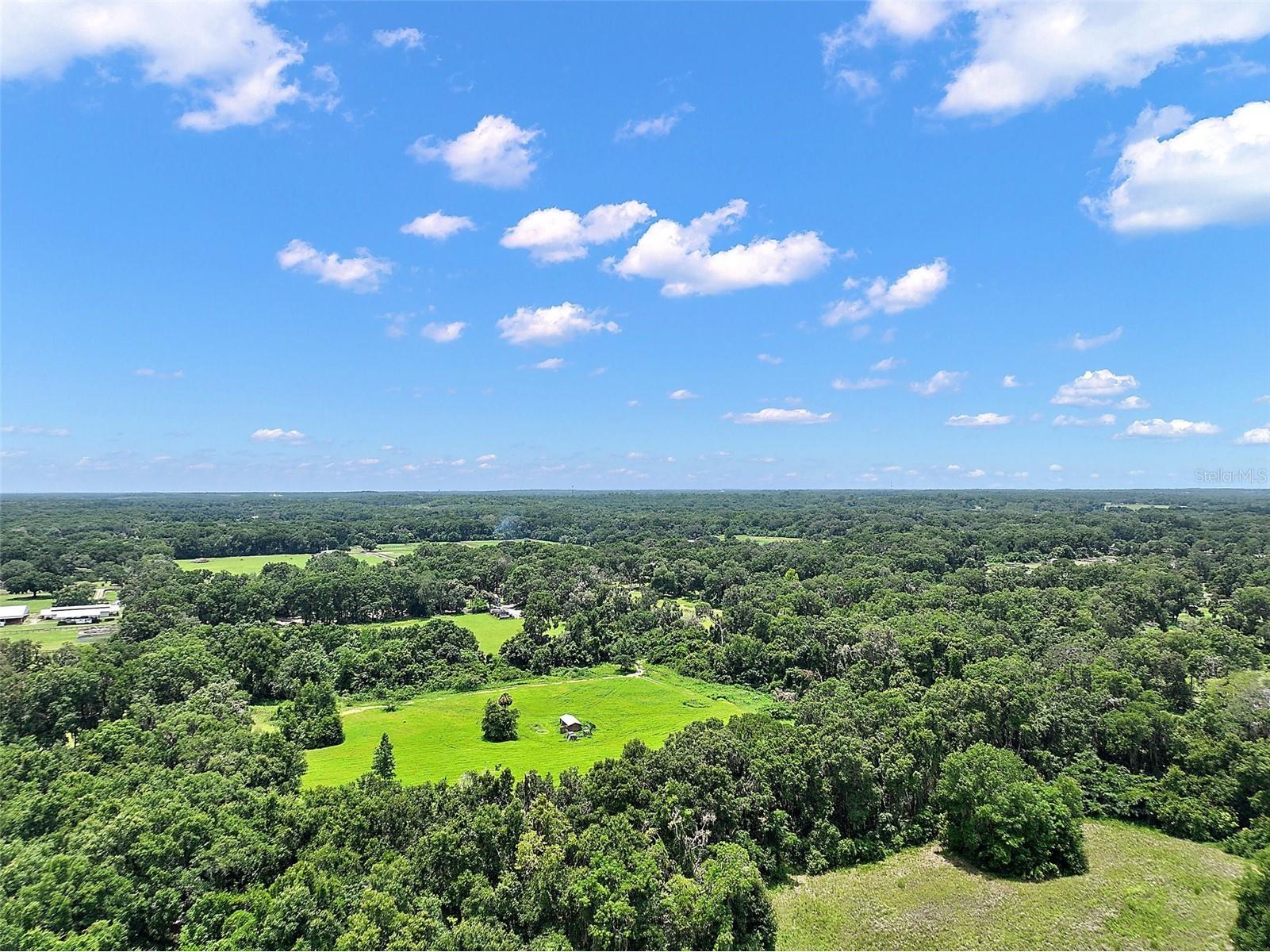 15785 NW 33rd Terrace Reddick FL 32686 OM704977 image7