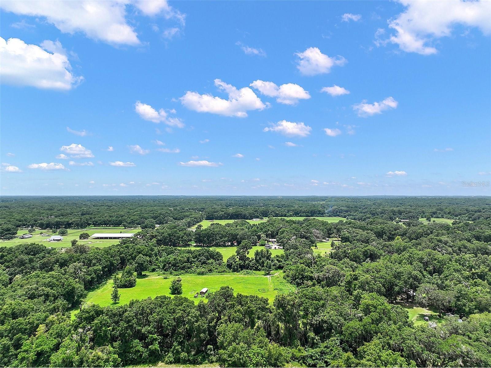 15785 NW 33rd Terrace Reddick FL 32686 OM704977 image8