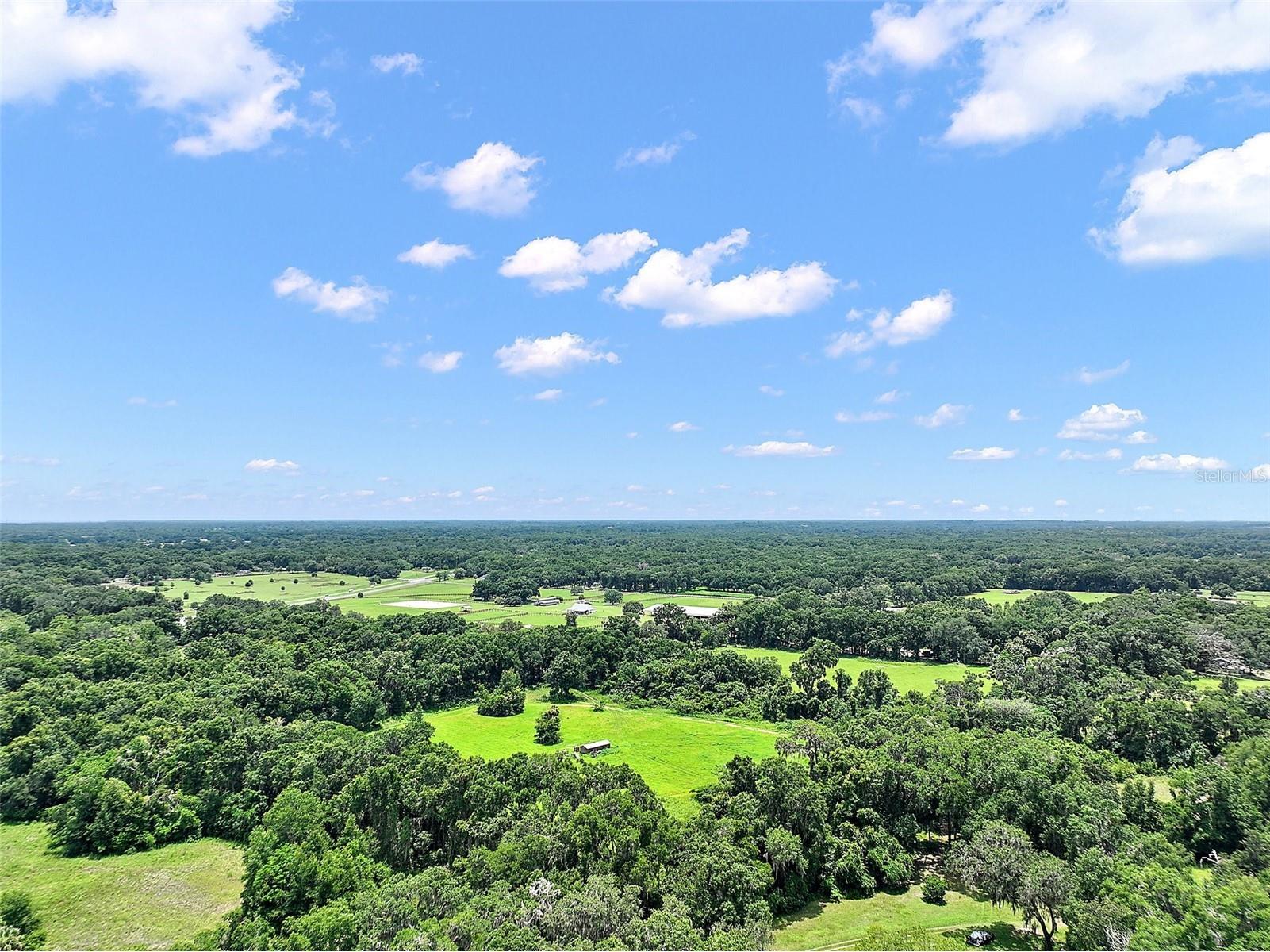 15785 NW 33rd Terrace Reddick FL 32686 OM704977 image9