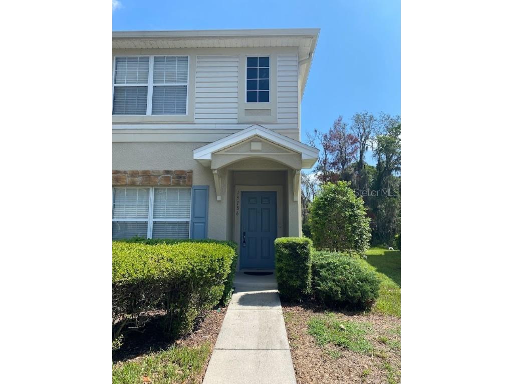 15786 Fishhawk Falls Drive Lithia FL 33547 T3455840 image1