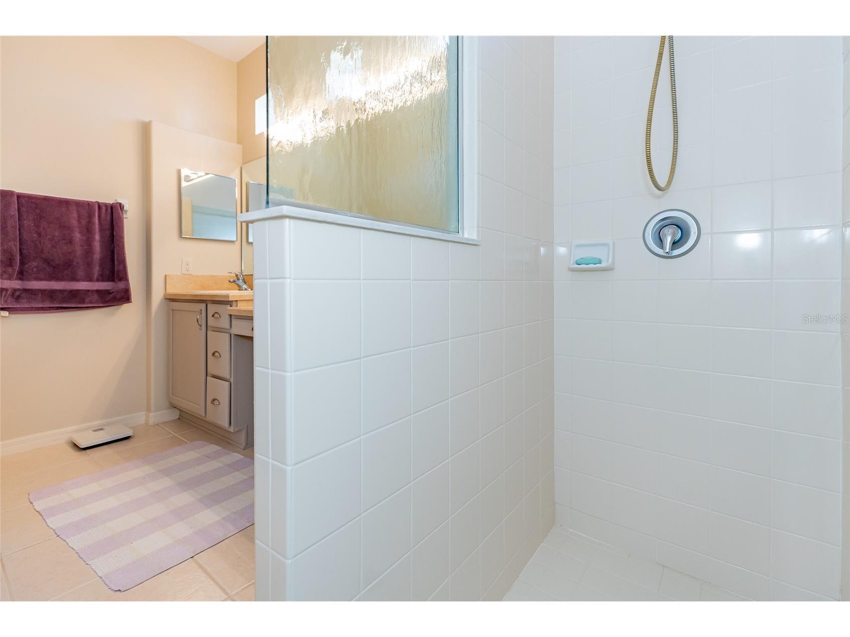 15788 SW 11th Terrace Road Ocala FL 34473 OM717246 image24