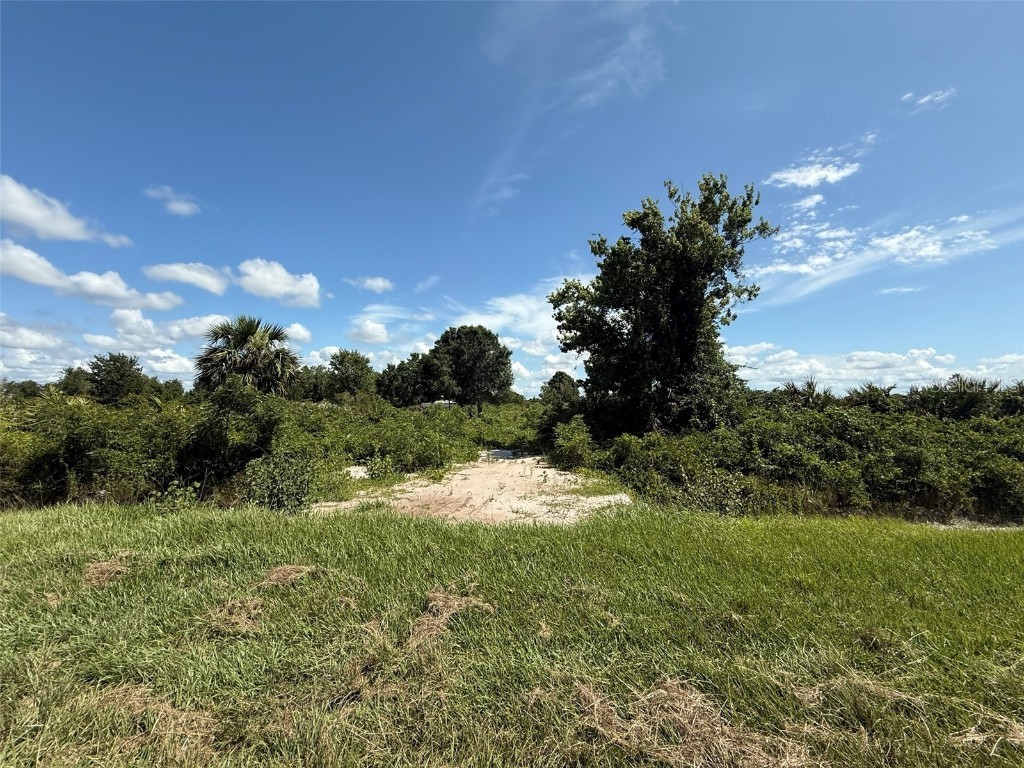 15789 NW 254th Street Okeechobee FL 34972 OK225300 image1