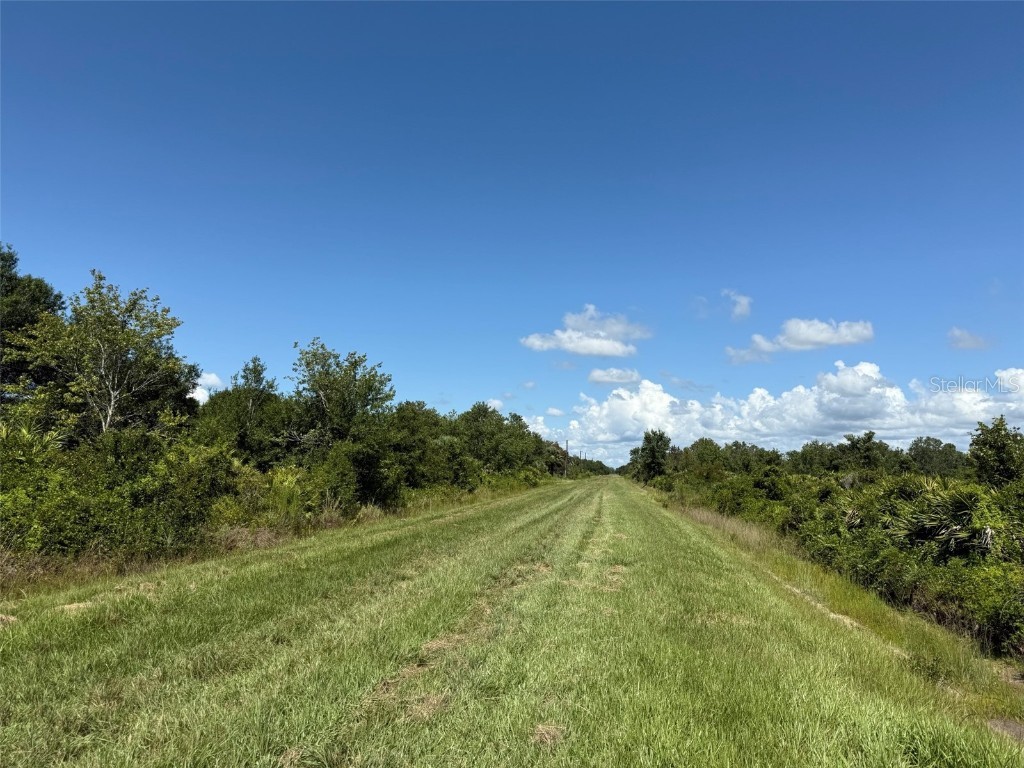 15789 NW 254th Street Okeechobee FL 34972 OK225300 image2