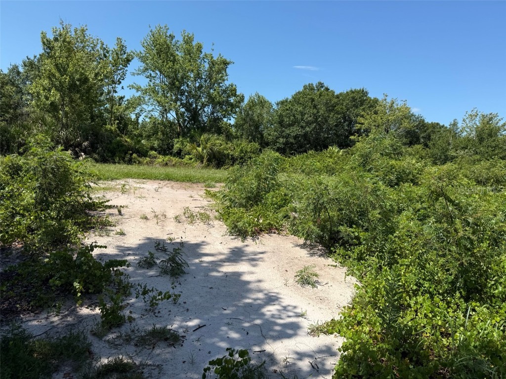 15789 NW 254th Street Okeechobee FL 34972 OK225300 image3