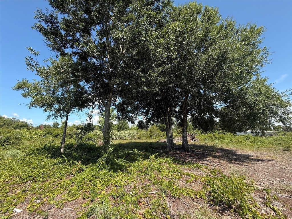 15789 NW 254th Street Okeechobee FL 34972 OK225300 image4