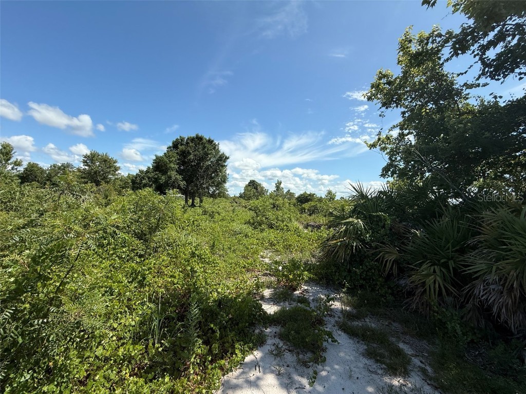 15789 NW 254th Street Okeechobee FL 34972 OK225300 image5