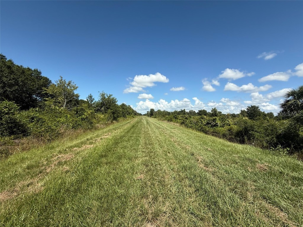 15789 NW 254th Street Okeechobee FL 34972 OK225300 image8