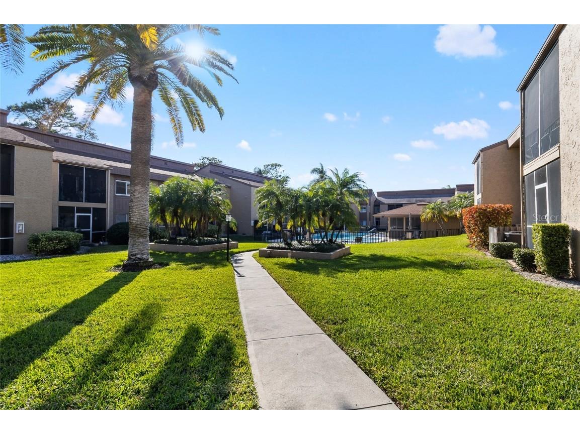 1579 Greenlea Drive #12 Clearwater FL 33755 TB8449824 image33