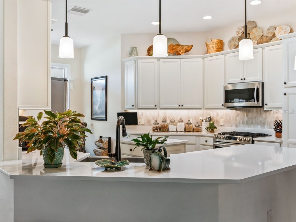 1579 Mceldowney Place The Villages FL 32163 G5104313 image18