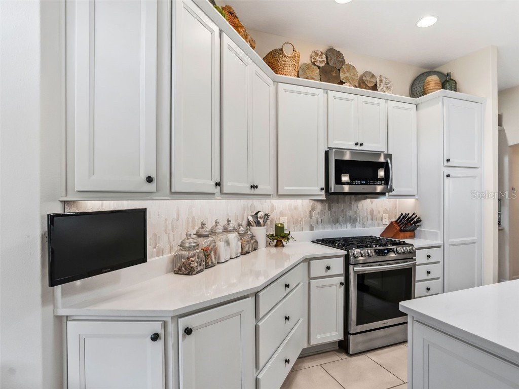 1579 Mceldowney Place The Villages FL 32163 G5104313 image22