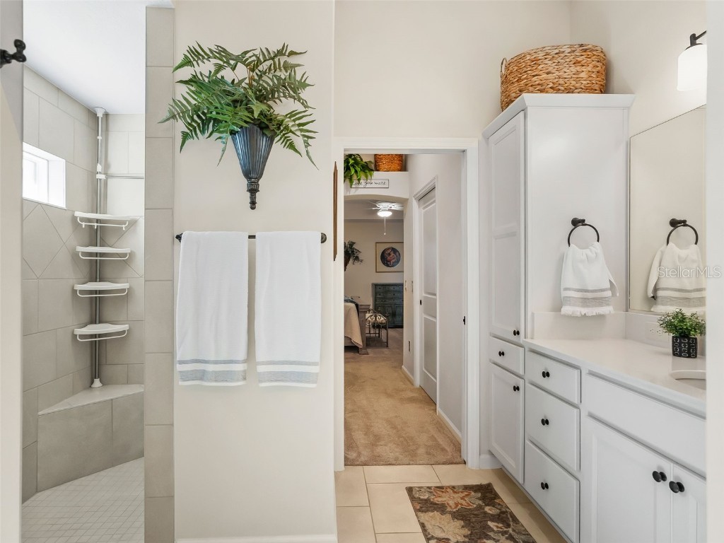 1579 Mceldowney Place The Villages FL 32163 G5104313 image37