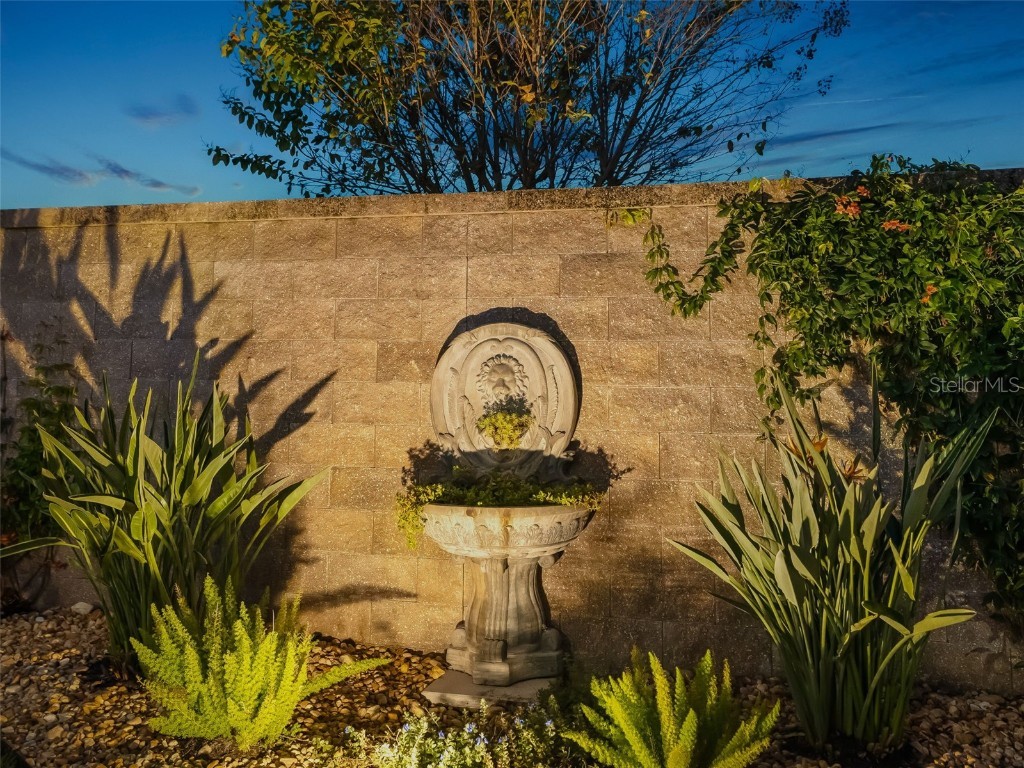 1579 Mceldowney Place The Villages FL 32163 G5104313 image86