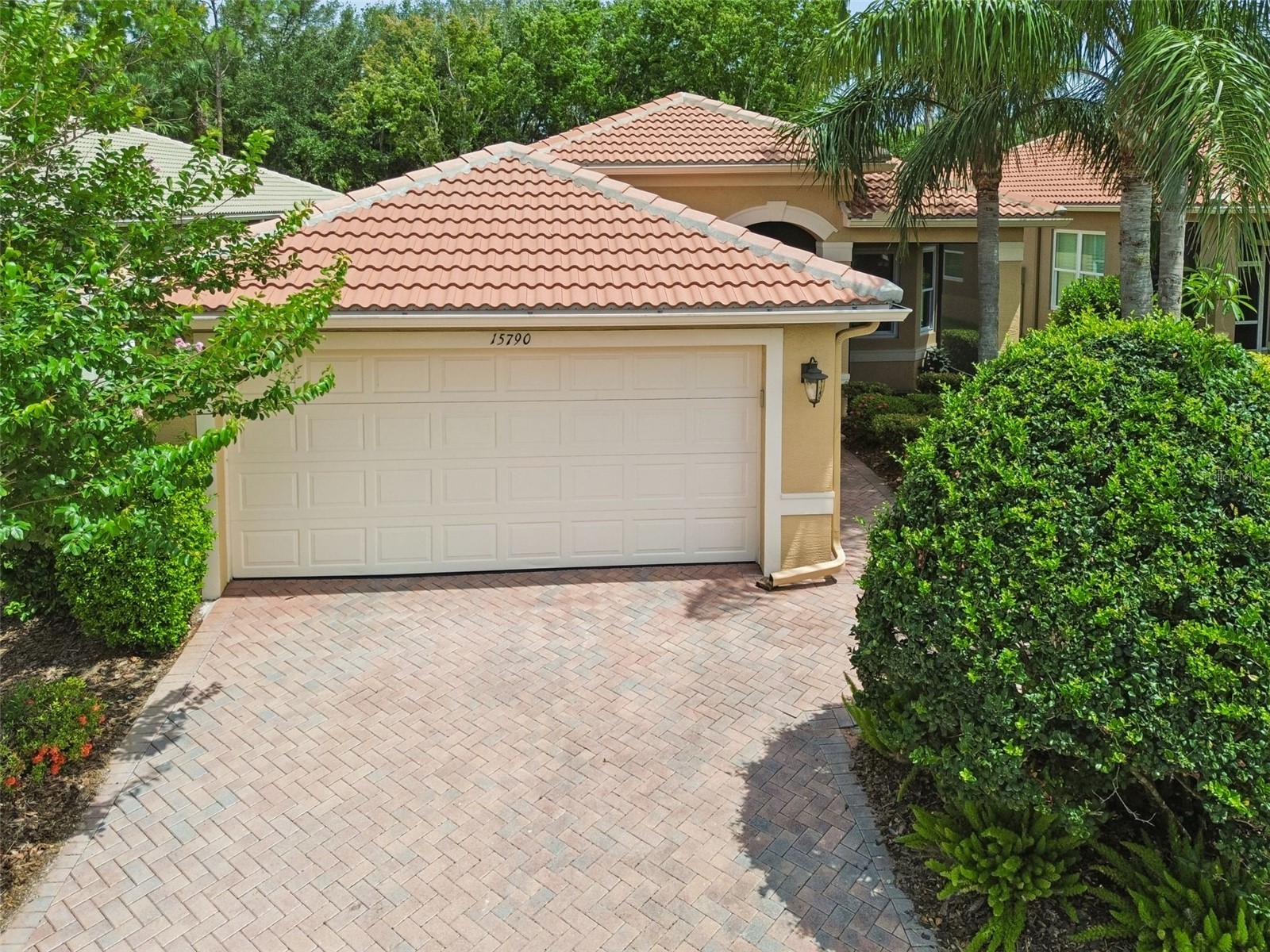 15790 Crystal Waters Drive Wimauma FL 33598 TB8515684 image4